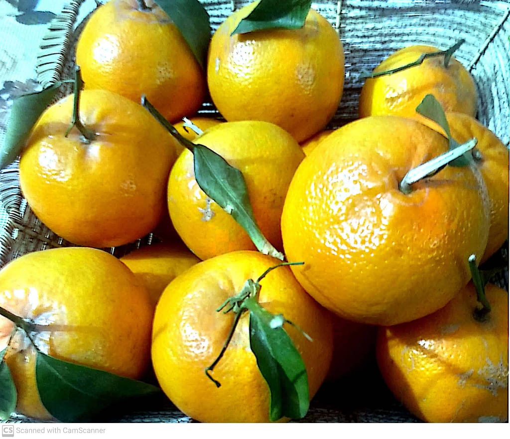 an article on health and wellness is best supported by pictures like this.